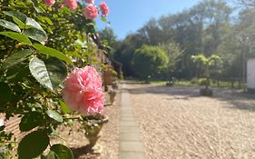 B&B Angelbeeck